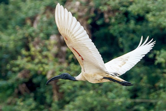 Prek Toal Birds Sanctuary and floating Village Private Day Tour - Why Prek Toal is worth giving up a full day