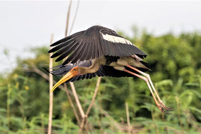 Prek Toal Birds Sanctuary and floating Village Private Day Tour - The low-water issue deserves attention