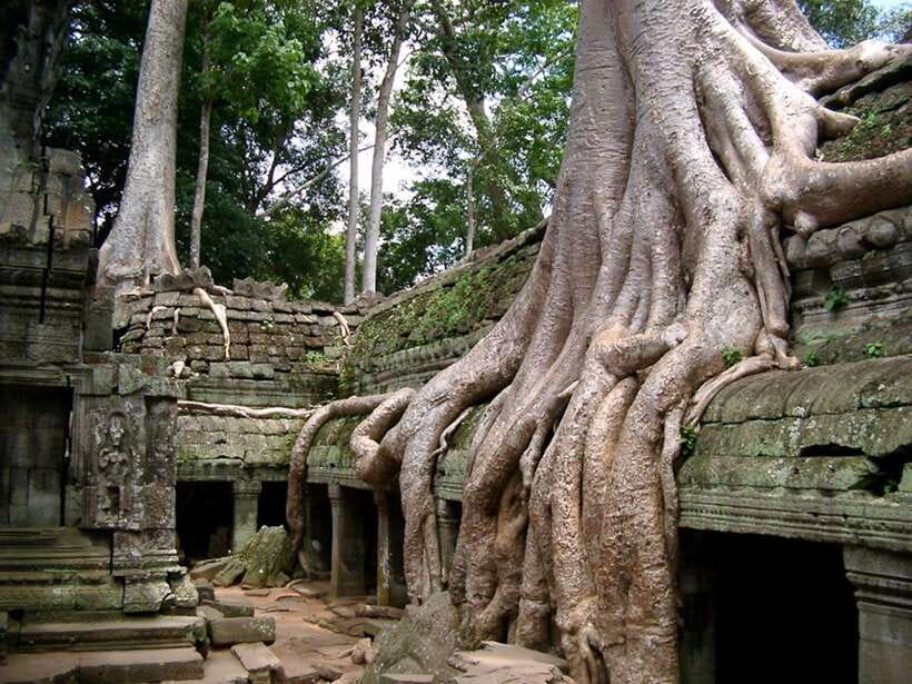 Private Angkor Sunrise, Guide Breakfast and Tuktuk included - The south gate and its broad causeway