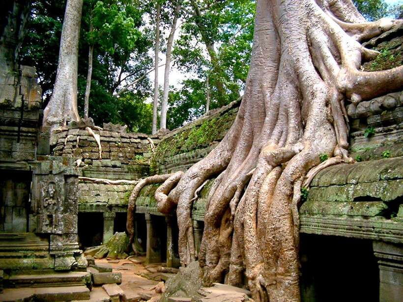 Private Angkor Sunrise, Guide Breakfast and Tuktuk included - The real cost: $24 plus the temple pass