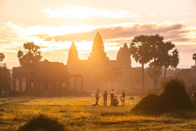 Private Angkor Sunrise Guided Tour - Ta Prohm brings the movie connection