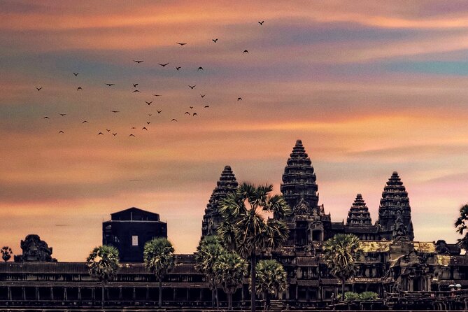 Private Angkor Sunrise & Major Temples Tour by English Speaking SUV Car Driver - Ta Prohm and the power of atmosphere