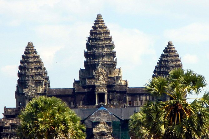 Private Angkor Wat Day Tour - Best of Angkor - Ta Prohm and the trees that took over