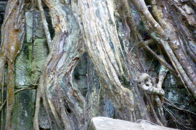 Private Angkor Wat Day Tour - Best of Angkor - The guide can make or break the day