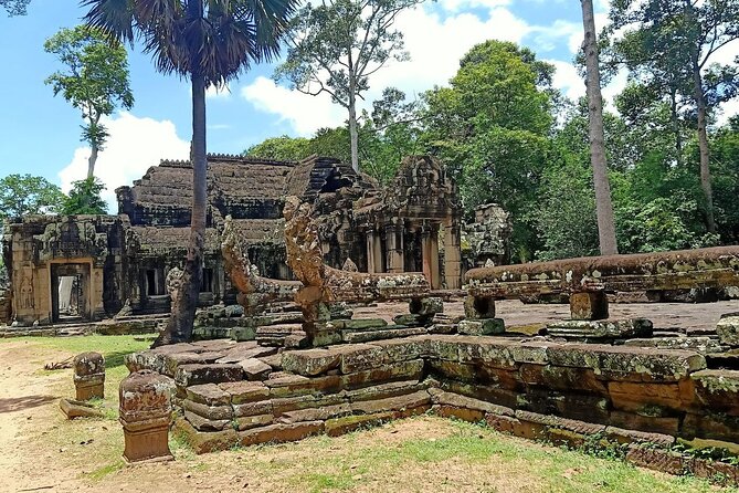 Private Angkor Wat Guided Sunset Tour - Ta Prohm and the jungle setting