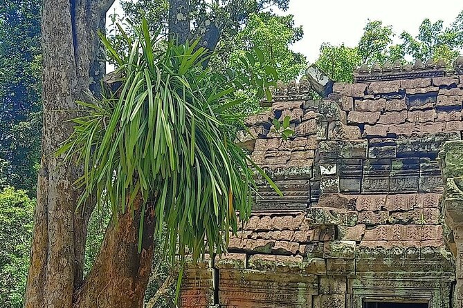 Private Angkor Wat Guided Sunset Tour - Comfort, clothing, and the pace of the day