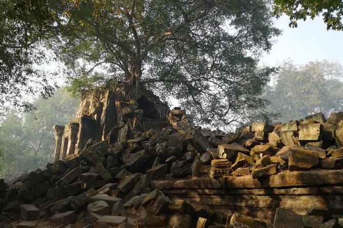 Private Beng Mealea Temple Tour – Hidden Jungle Ruins - What the temple visit does not include