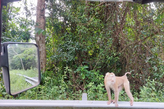 Private Bokor tours by Rickshaw/SUV Car - What the private format adds