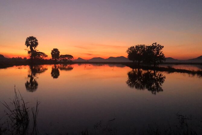 Private Full Day Tuk Tuk Tour in Battambang - Phnom Sampeau, temples, views, and killing caves