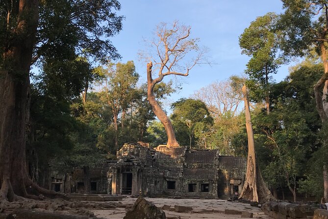 Private Guided Angkor Wat Tour by Lady Tuk Tuk with Monk Blessing - Entering Angkor Thom through the South Gate