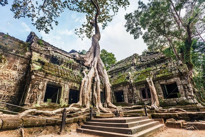 Private guided Full -day Angkor tour with sun set - Ta Prohm: the jungle setting people remember