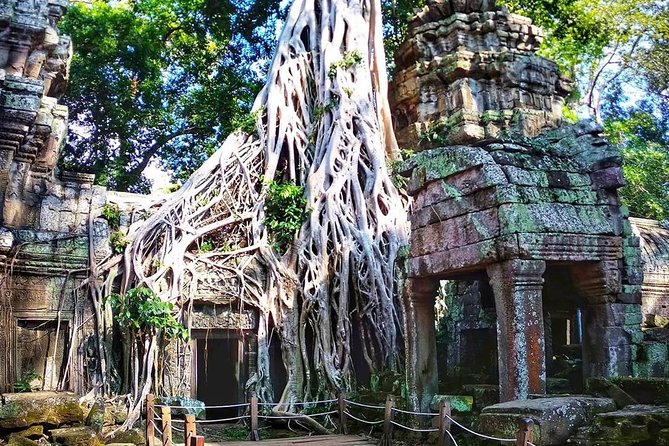 Private Guided Tours-Sunrise Angkor Wat, Ta Prohm, Bayon and more - Phimeanakas shows a different side of Angkor Thom