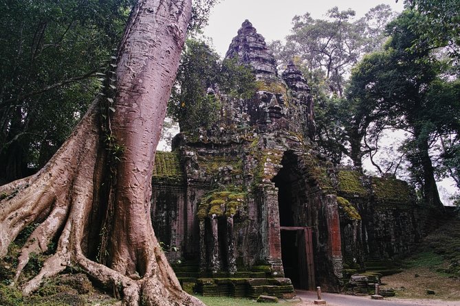 Private One Day Trip-The Best Experience in Siem Reap - Bayon and the stone faces of Angkor Thom