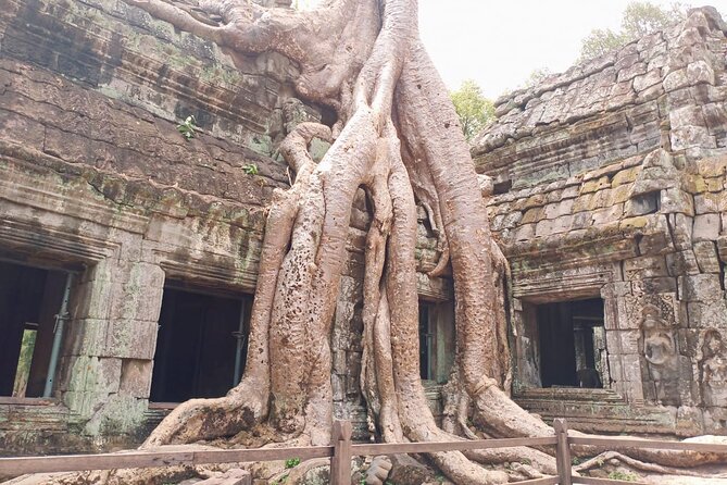 Private One Day Trip-The Best Experience in Siem Reap - Transport, timing, and comfort