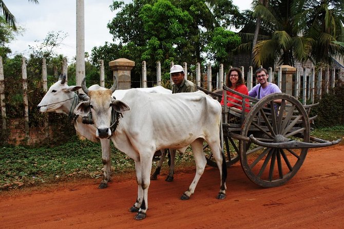 Private Ox Cart Ride and Local village Experience from Siem Reap - Rice fields, gardens, and farm land