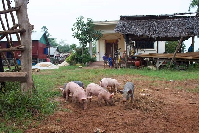 Private Siem Reap Quad Bike Adventure - Who will enjoy this ride most