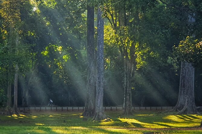 Private Sunrise and Sunset Angkor Park Tour with Rest Mid-Day - Ta Prohm and its famous film setting
