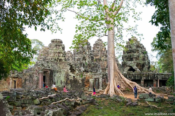 Private sunrise 'small tour' of Angkor Wat with car or van & Guide - Ta Prohm delivers the jungle-and-stone drama