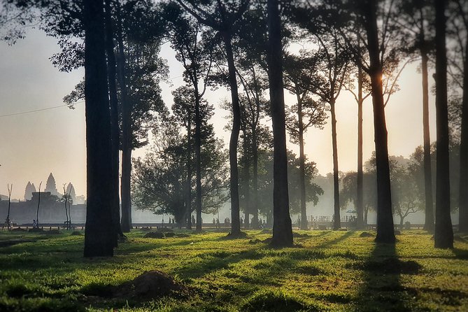 Private sunrise tour to Angkor Wat & other highlights with Professional Guide. - What the private format changes