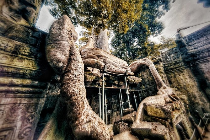 Private sunrise tour to Angkor Wat & other highlights with Professional Guide. - Who will get the most from this tour
