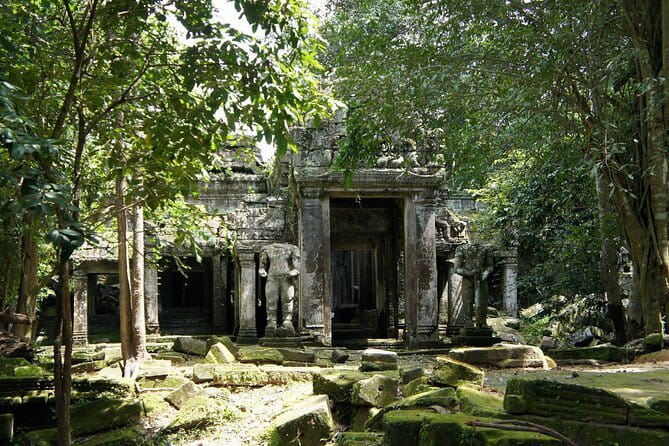Private Taxi from Siem Reap to Phnom Penh - Speak English Driver - A 30-minute stop at Skun Spider Sanctuary