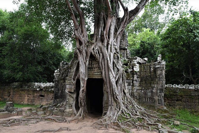 Private Taxi Siem Reap to Phnom Penh, Reliable Driver, Transfer - Choosing the right vehicle for your group