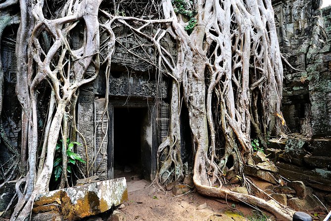Private Temples Guided Tour (Angkor Wat, Ta Prom & Angkor Thom) - Who should book this temple tour