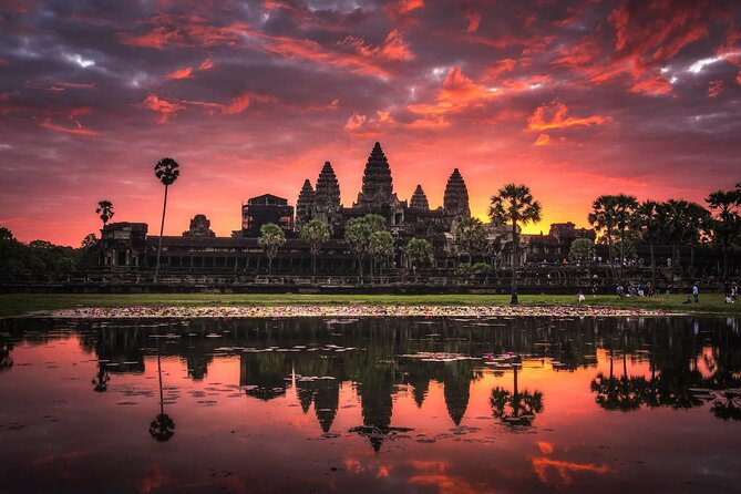 Private Temples Guided Tour (Angkor Wat, Ta Prom & Angkor Thom) - Ta Prohm and the trees that changed its image