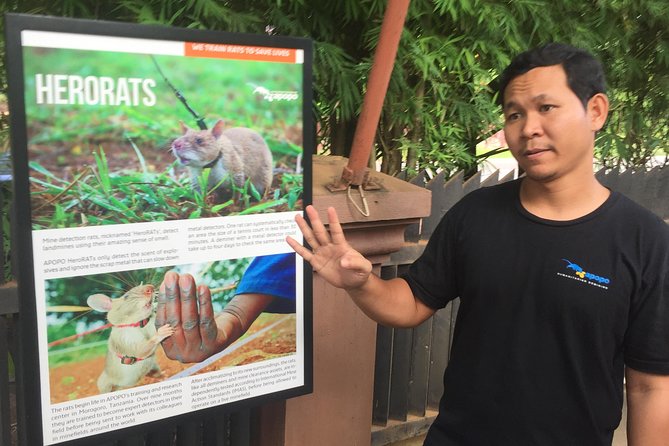Private Tour: HERO Rats & Angkor National Museum - What the strongest feedback tells you
