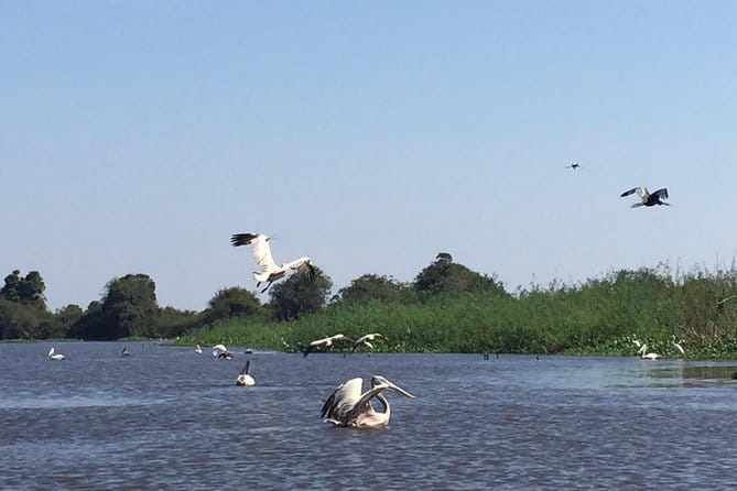 Private Tour Prek Toal Bird Sanctuary Off Beaten Track - Key points at a glance