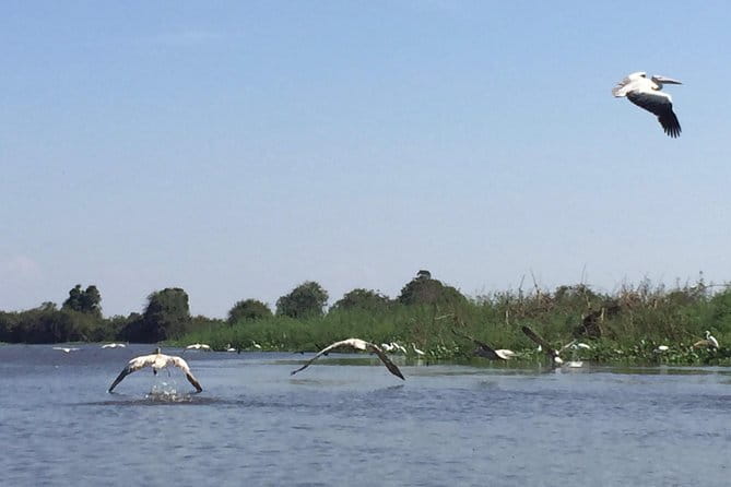 Private Tour Prek Toal Bird Sanctuary Off Beaten Track - Driving around the village after lunch
