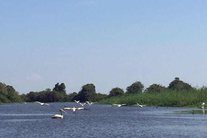 Private Tour Prek Toal Bird Sanctuary Off Beaten Track - Crossing Machrey and Prek Toal villages by private boat