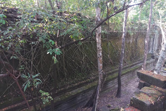 Private Tour to Beng Mealea Jungle Temple and Koh Ker - The country drive is part of the experience