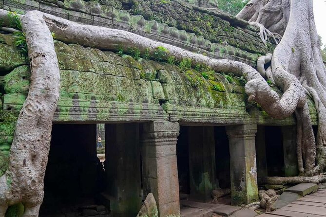 Private Tours Angkor Wat For 3 Days - Should you book this three-day Angkor tour?