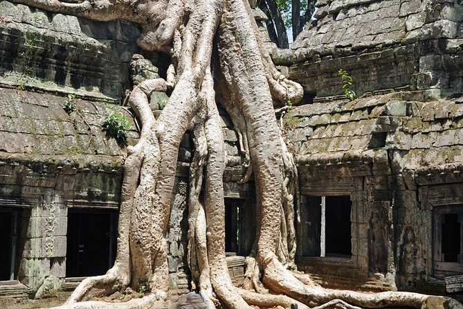 Private Tuk Tuk Tour to Angkor Wat and Small Circle with Two Extras - Why this Small Circle tour works