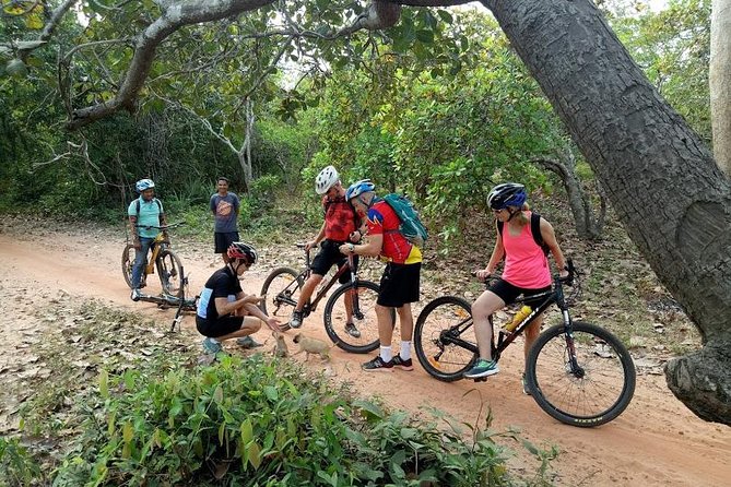 Rice Fields & Rural Villages Tour - Leaving Siem Reap behind on two wheels