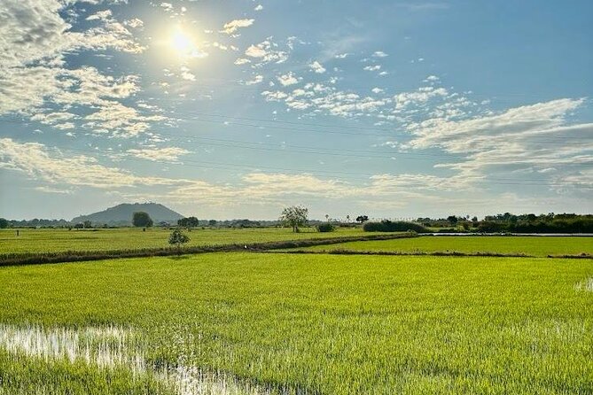Rural Countryside Experience Tour in Siem Reap - Key points to know before booking