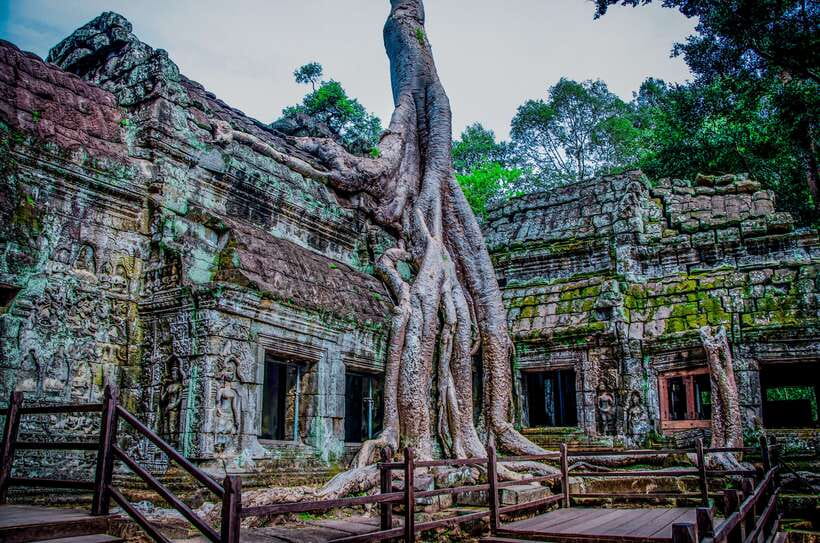 Seat-In-Coach: Small Circuit tour with Sunrise at Angkor Wat - Ta Prohm, roots, stone, and movie fame