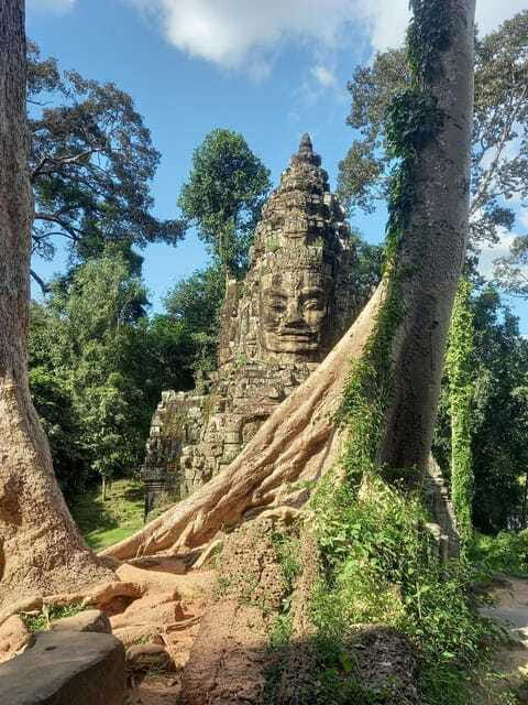 Shared day tour with Spanish-speaking guide at Angkor Temple. - What $50 buys you