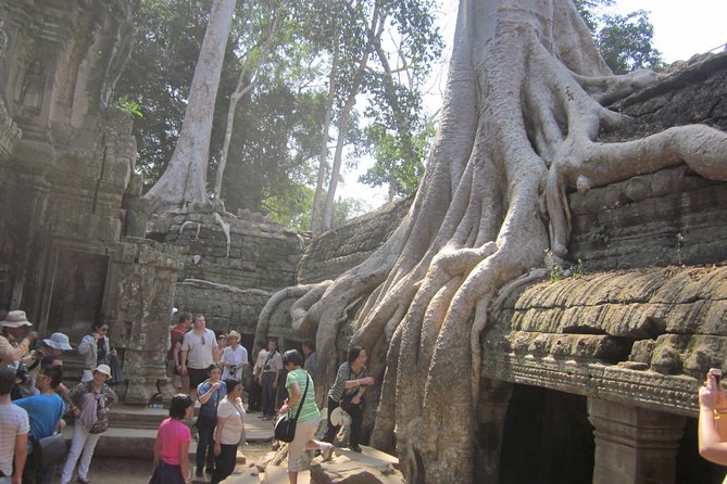 Shared Tour to Angkor Wat, Bayon and Ta Prohm Temples - Bayon puts stone faces at the center