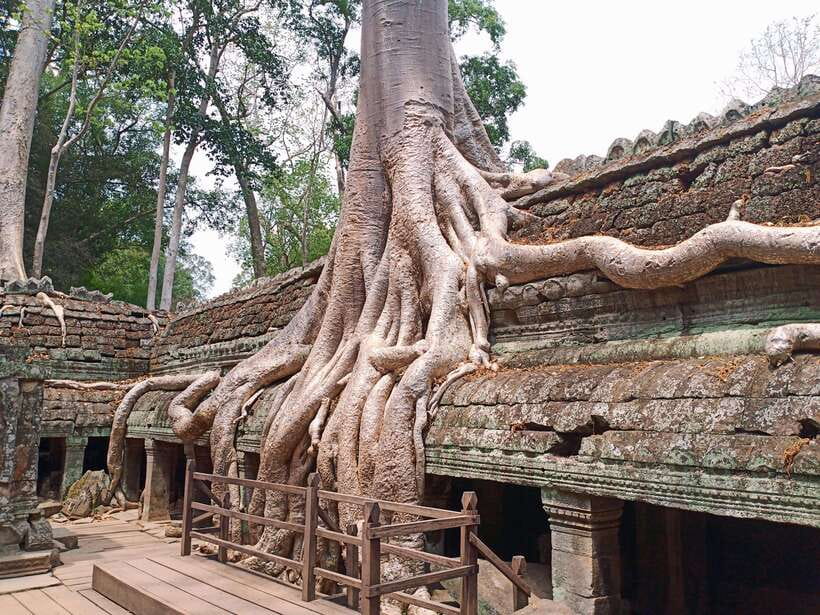 Sharing Trip to Angkor Temple with sunset - Angkor Thom and the South Gate