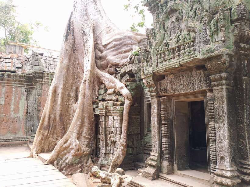 Sharing Trip to Angkor Temple with sunset - Lunch is simple, practical, and extra