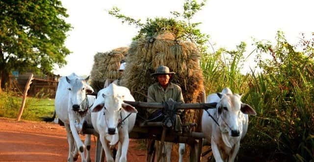 Siem Reap: 3-Hour Ancient Trails Motorbike Tour - Key points to know before you book