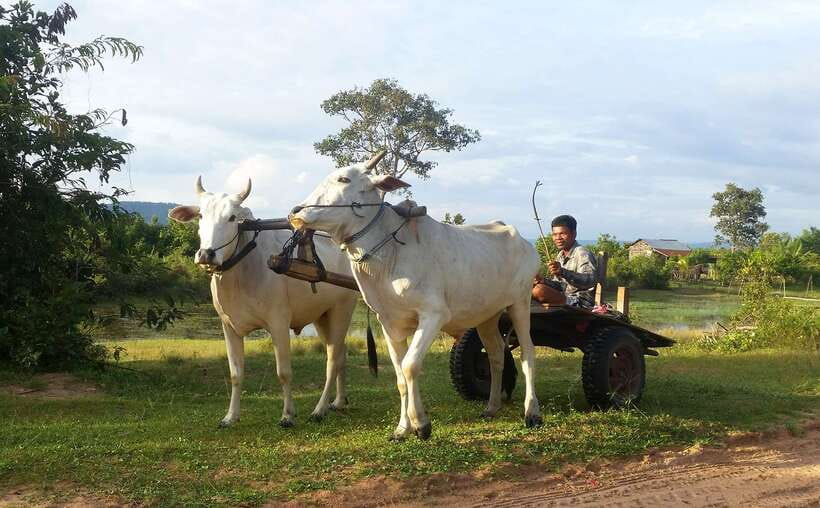 Siem Reap: 6-Hour Easy Rider Motorbike Tour - The Return Ride and What Six Hours Really Means