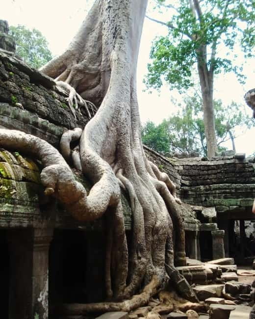 Siem Reap: Angkor 1-Day Private Tour with Sunset or Sunrise - Who should book this Angkor tour