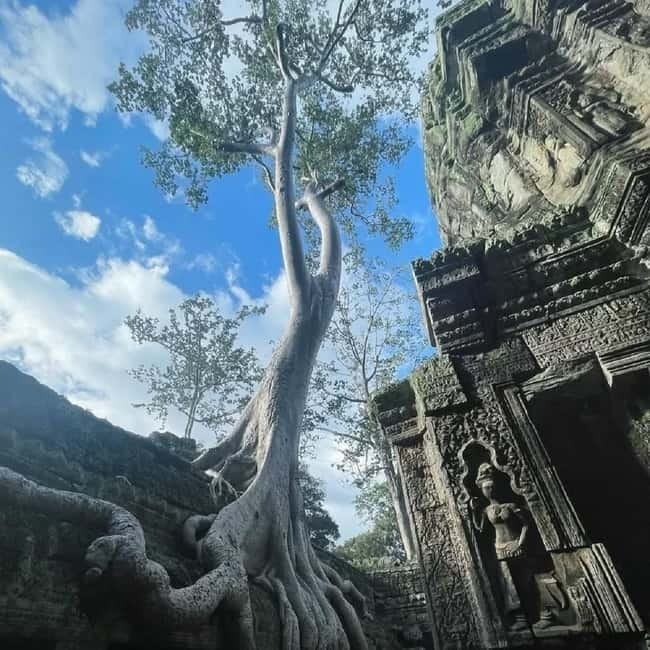 Siem Reap: Angkor 1-Day Private Tour with Sunset or Sunrise - Should you book it?