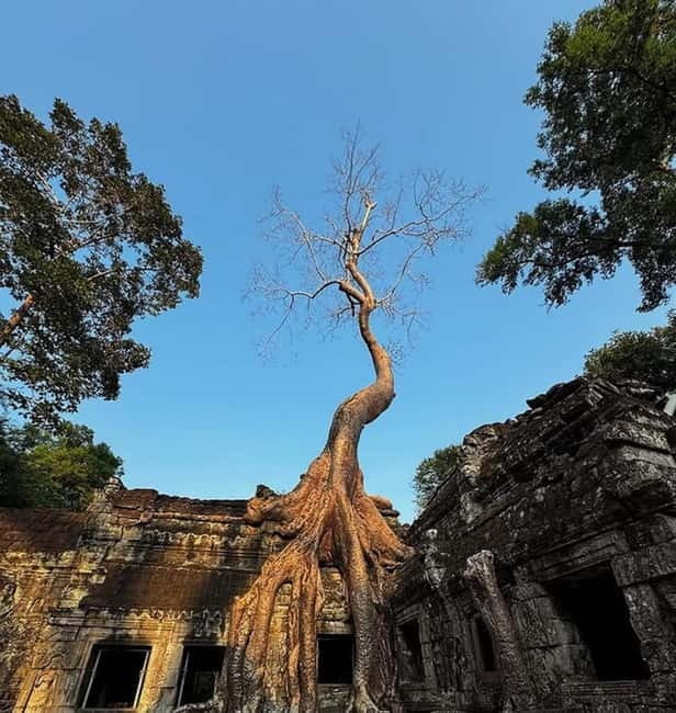 Siem Reap: Angkor 1-Day Private Tour with Sunset or Sunrise - The 8:30 AM sunset day, temple by temple