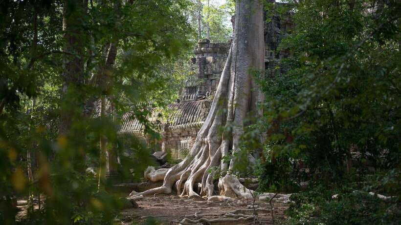 Siem Reap: Angkor Temples Off-Track Bicycle Tour - Key points to know before you book
