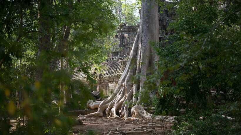 Siem Reap: Angkor Temples Off-Track Bicycle Tour - Preah Khan, a larger temple with fewer crowds
