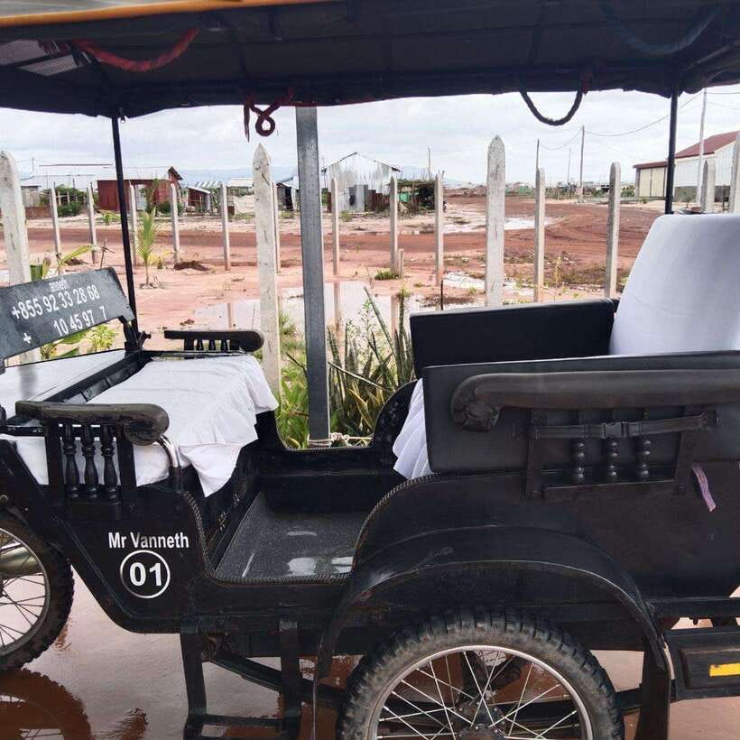 Siem Reap: Angkor Temples Tour by a Private Tuk Tuk - Ta Prohm and the trees over the ruins